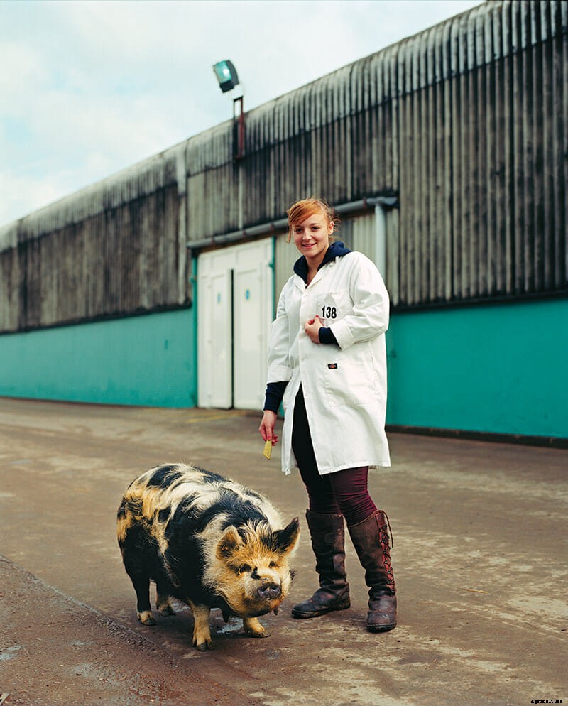 Beast In Show: Scenes From An English Farm Exhibition