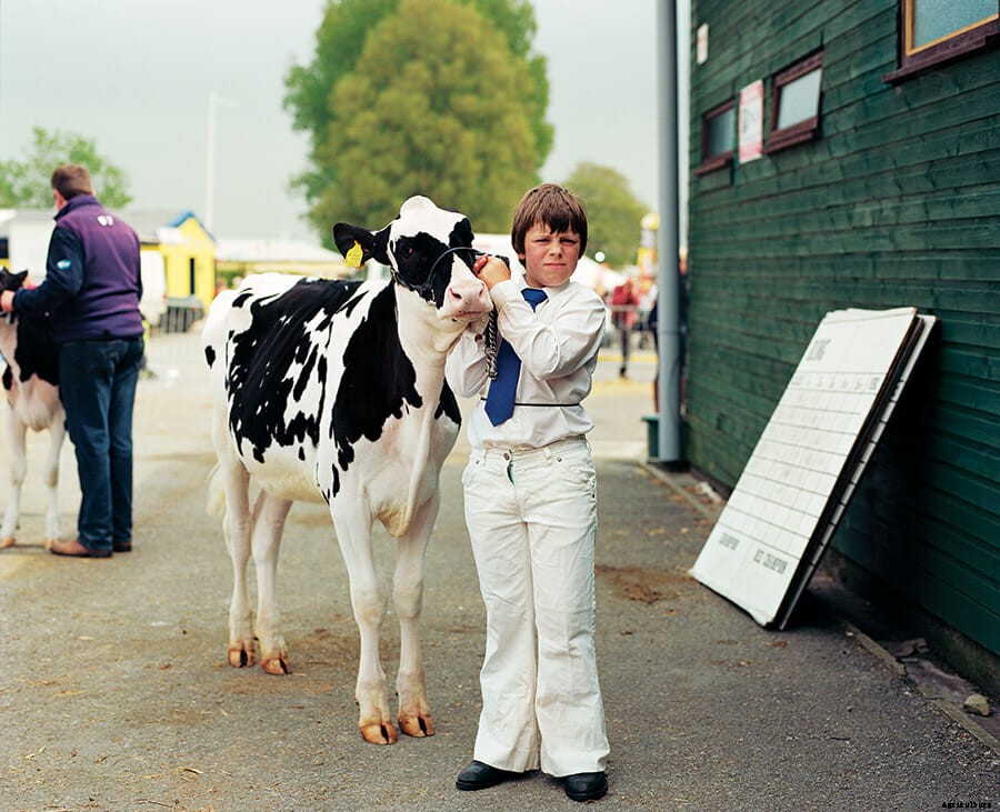 Beast In Show: Scenes From An English Farm Exhibition