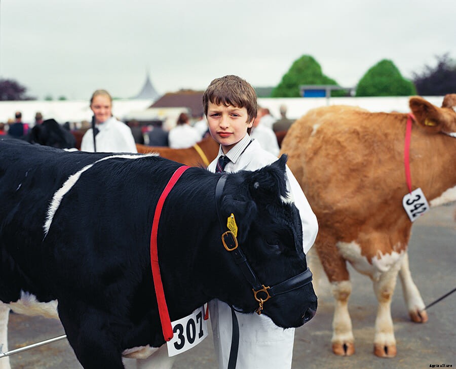 Beast In Show: Scenes From An English Farm Exhibition