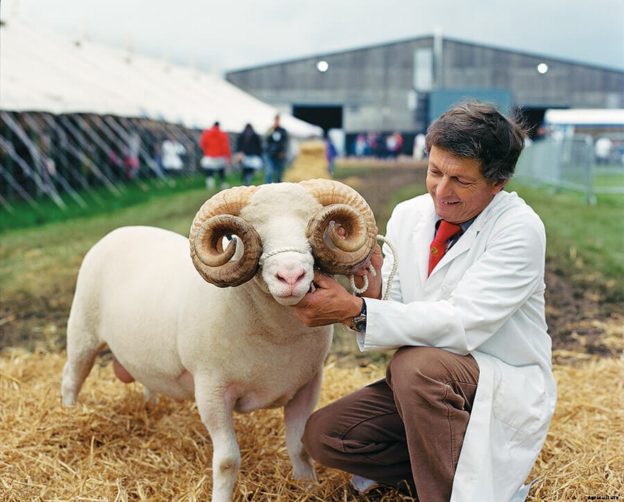 Beast In Show: Scenes From An English Farm Exhibition