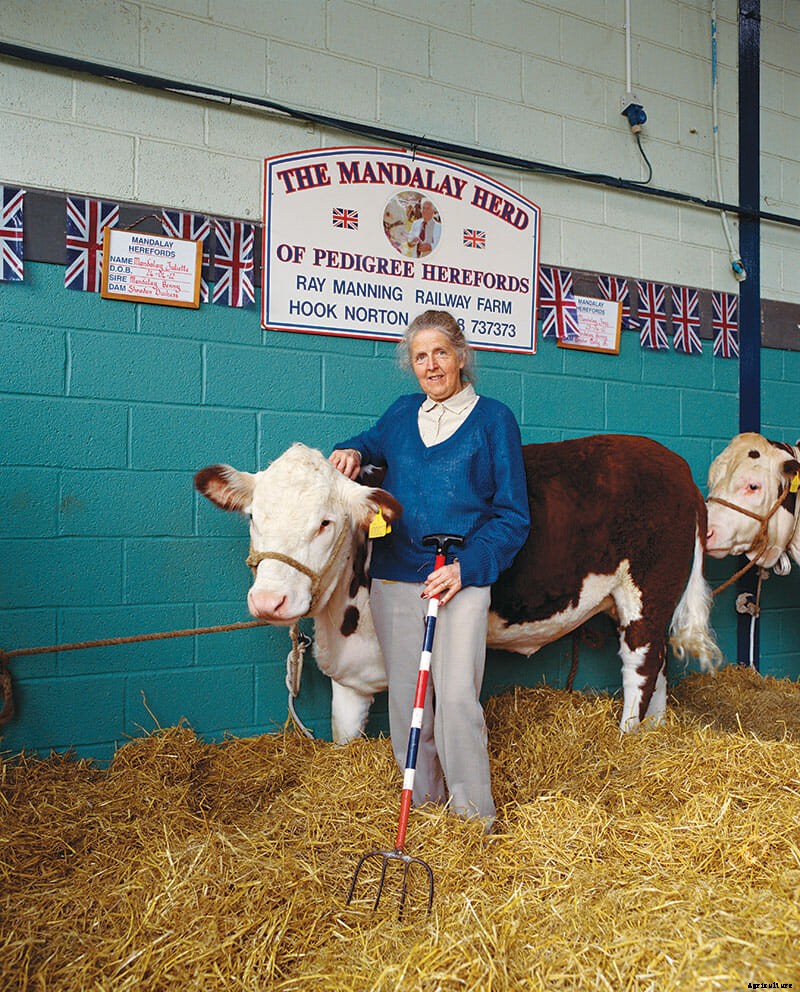 Beast In Show: Scenes From An English Farm Exhibition