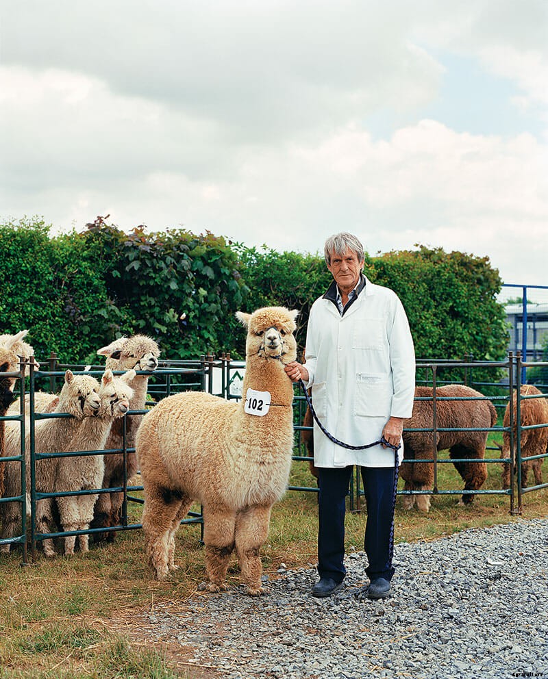 Beast In Show: Scenes From An English Farm Exhibition