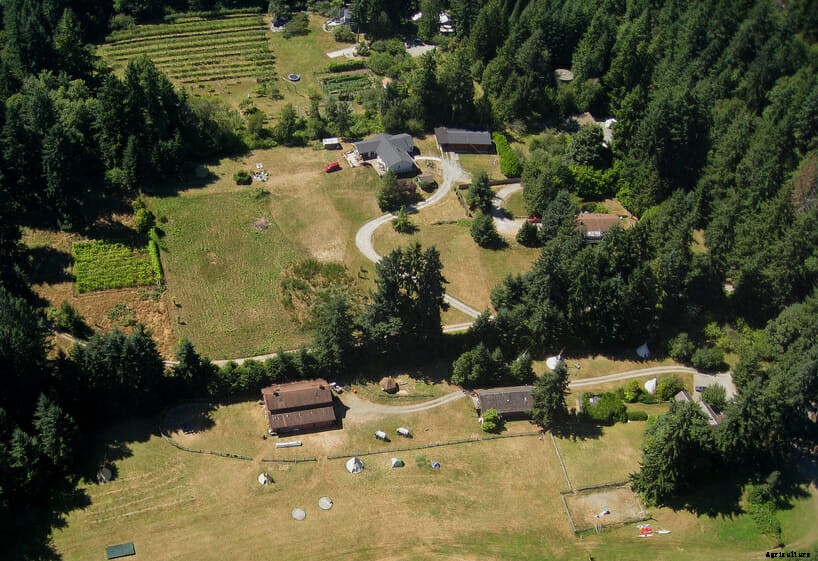 Weed Island: Is Washington’s Vashon the Proving Ground for Legal, Local Pot?