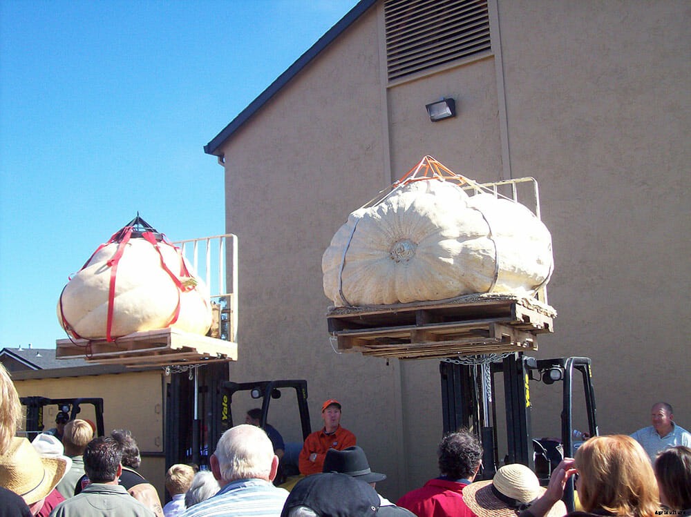 Meet the Man With a Gift for Growing Giant Pumpkins