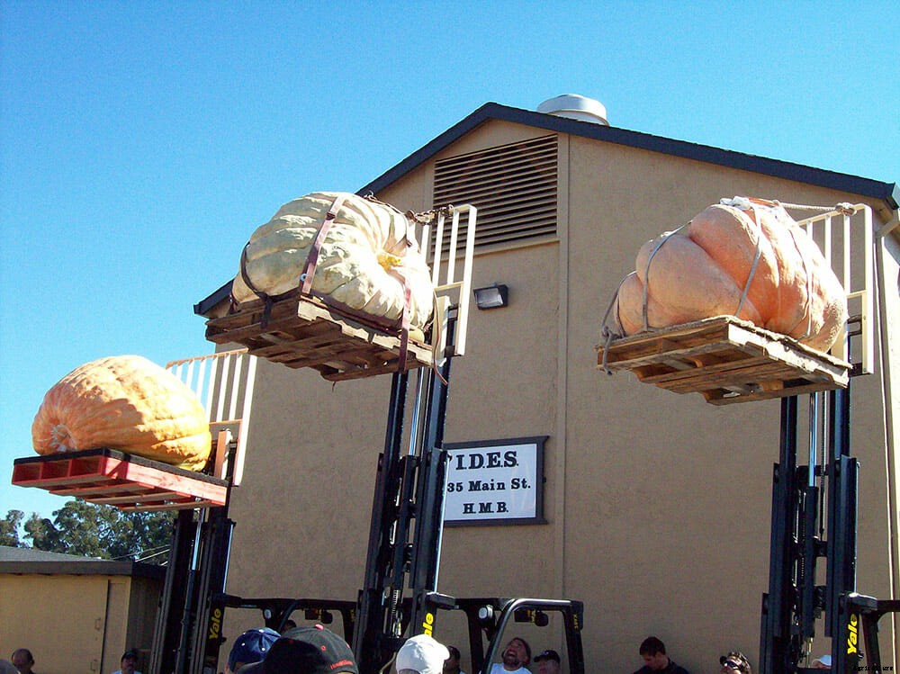 Meet the Man With a Gift for Growing Giant Pumpkins
