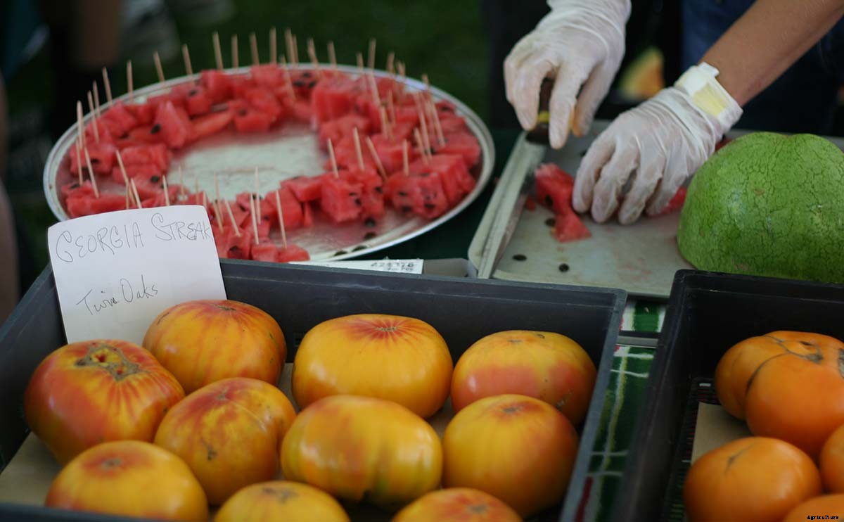 Foodies Convene on the Lawn of America’s First Foodie: Thomas Jefferson