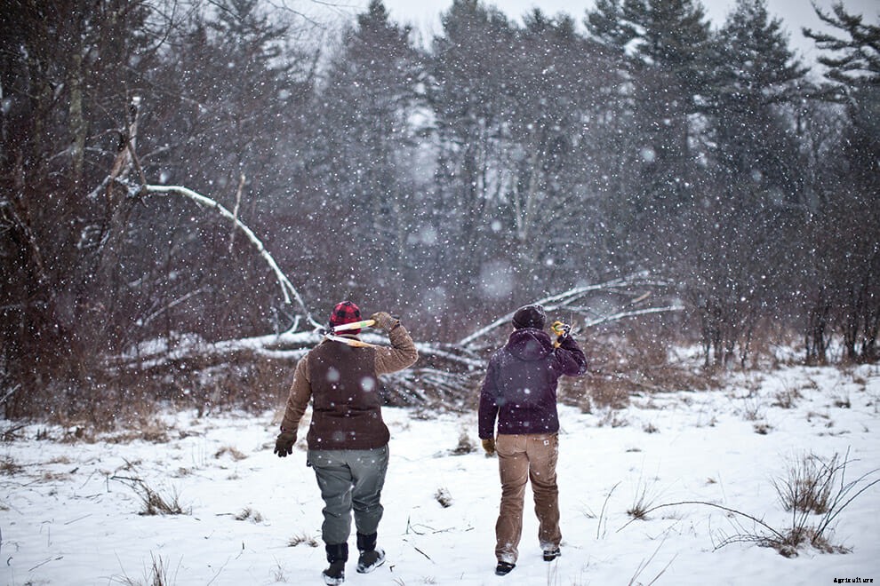 Back to (Farm) School