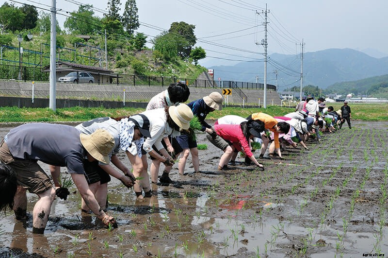 Back to (Farm) School