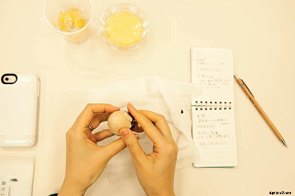 Back to (Farm) School