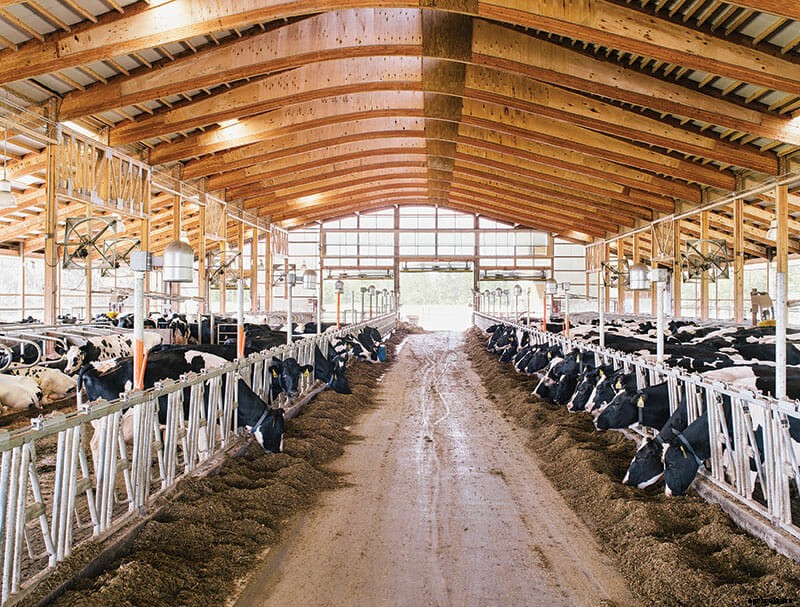 The Dairy Barn, Redesigned