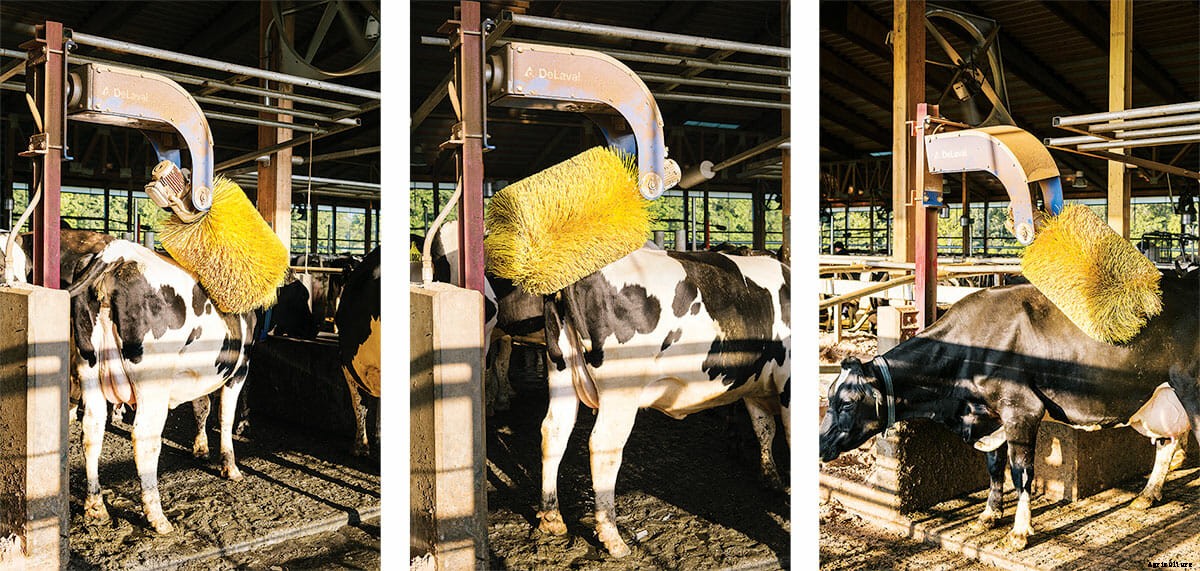 The Dairy Barn, Redesigned