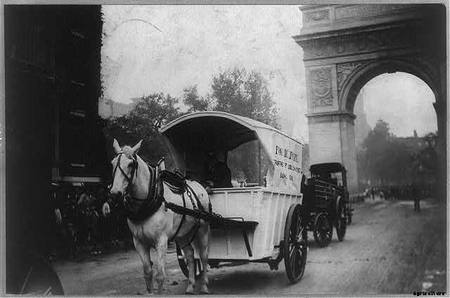 20 Farm Horses From the Past