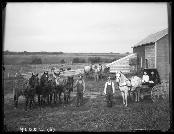 20 Farm Horses From the Past