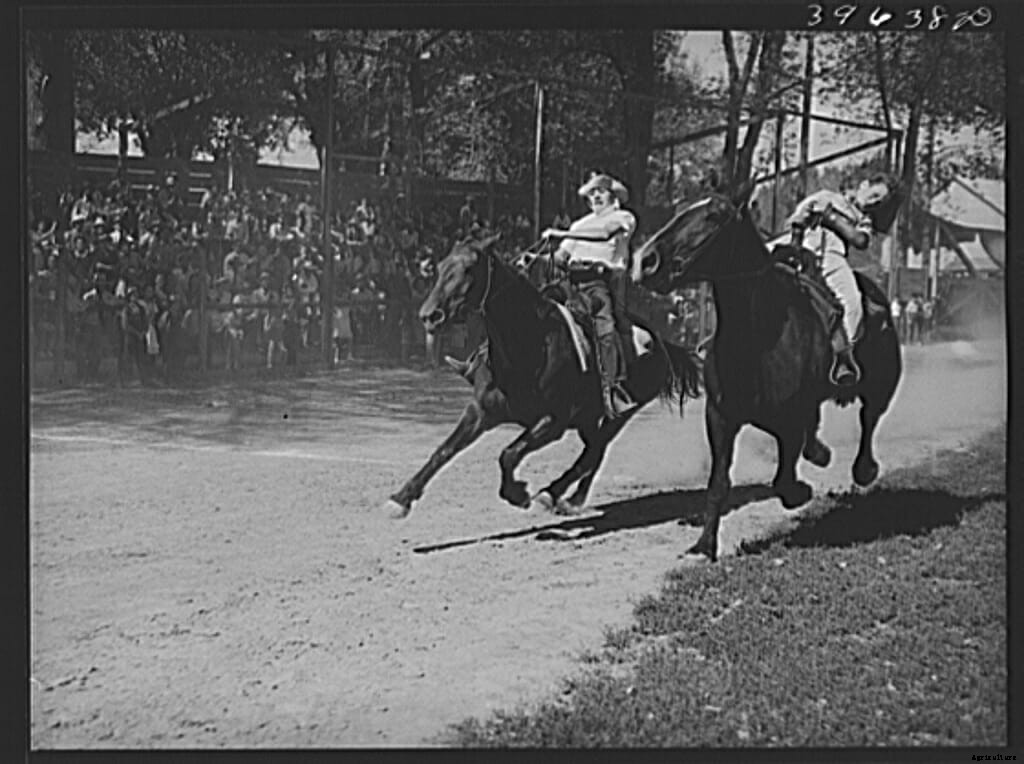 20 Farm Horses From the Past