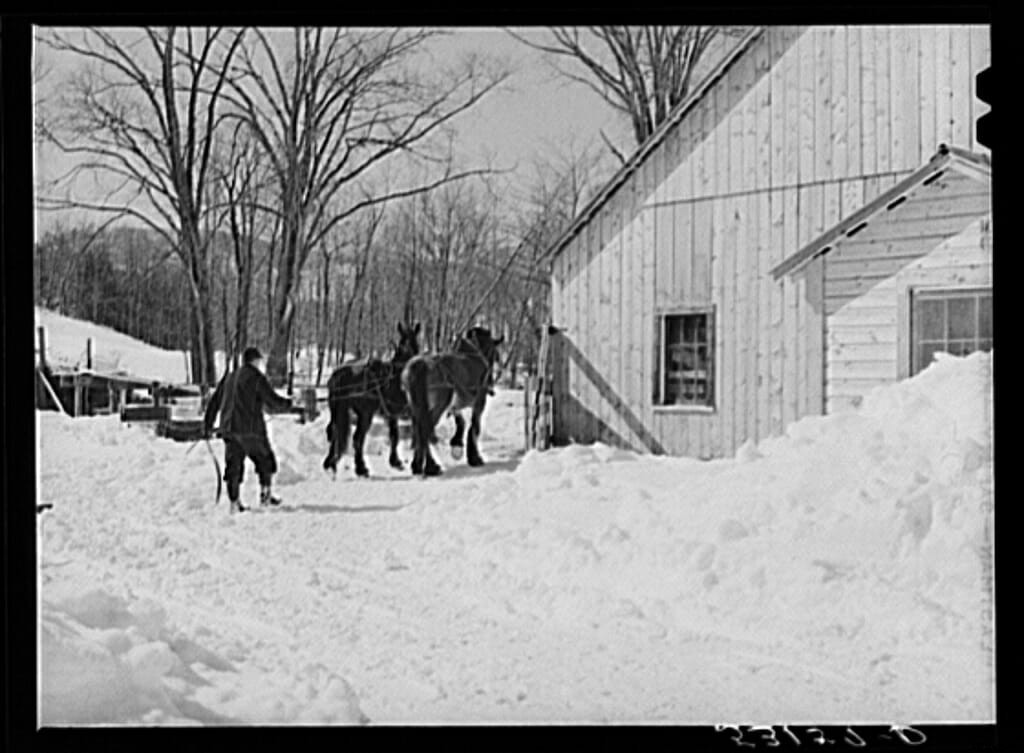20 Farm Horses From the Past