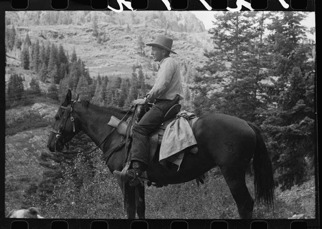 20 Farm Horses From the Past