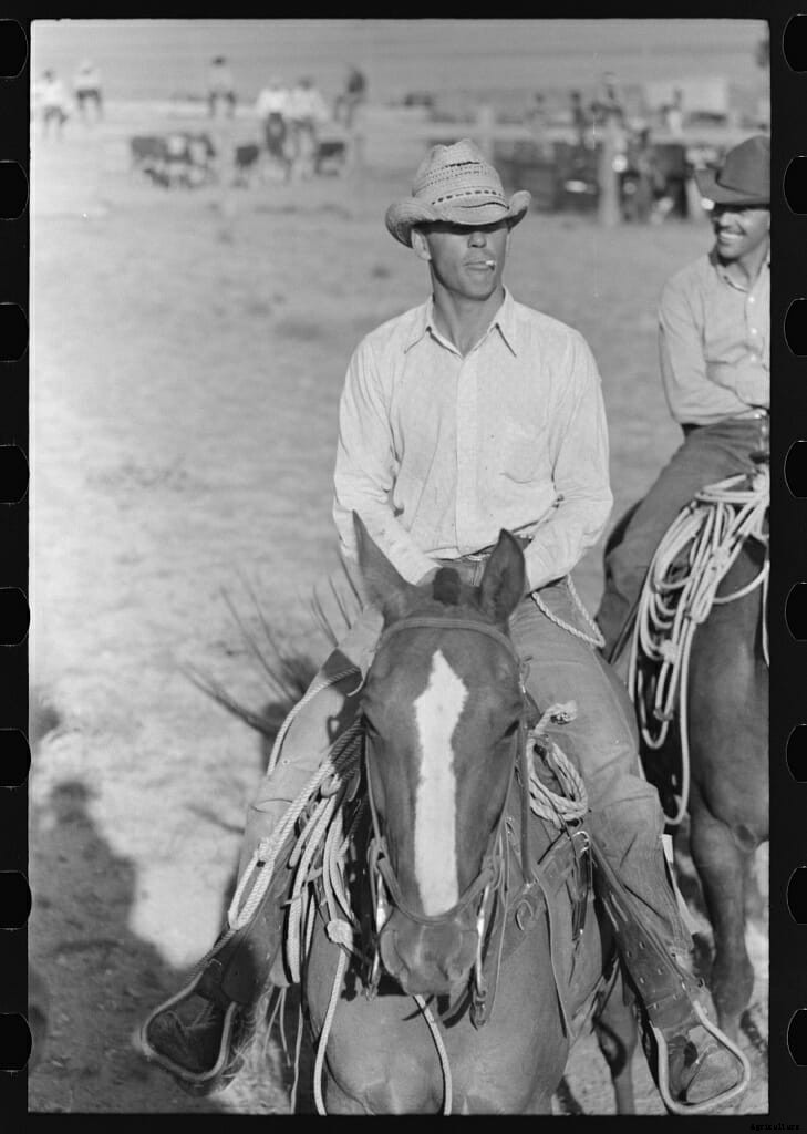 20 Farm Horses From the Past