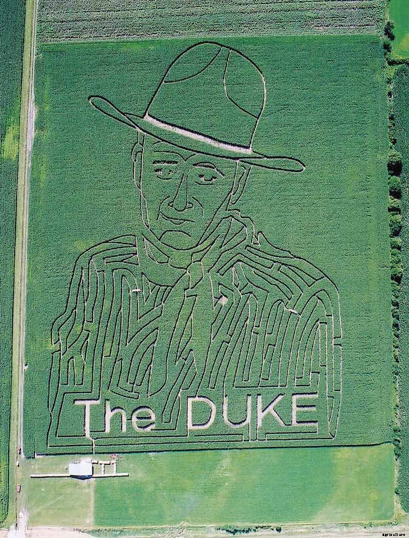Master the Maize: The Increasingly Big Business of Corn Mazes