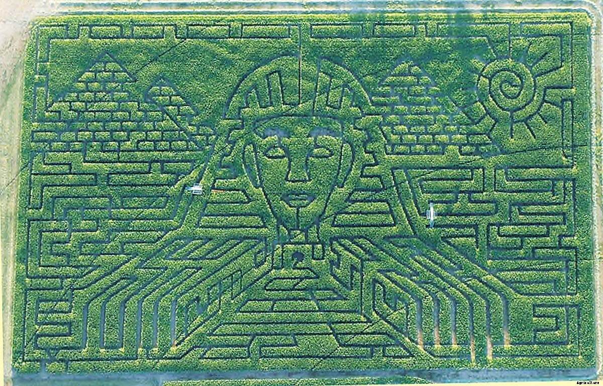 Master the Maize: The Increasingly Big Business of Corn Mazes