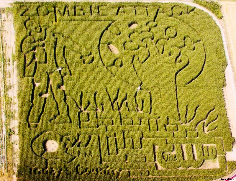 Master the Maize: The Increasingly Big Business of Corn Mazes