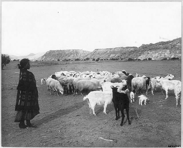 20 Grand Old Goat Photos