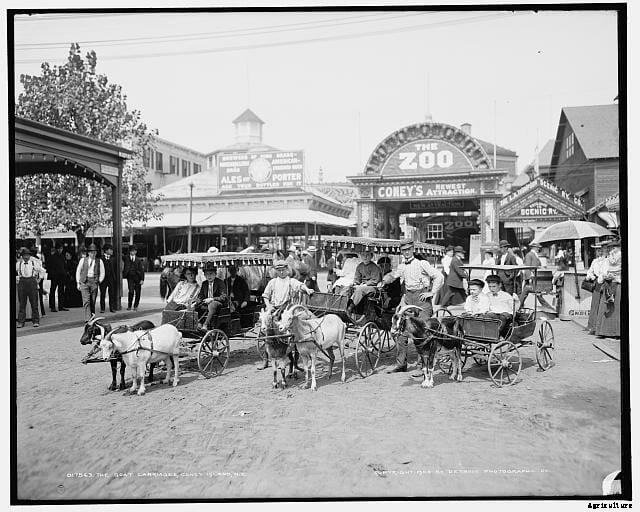 20 Grand Old Goat Photos