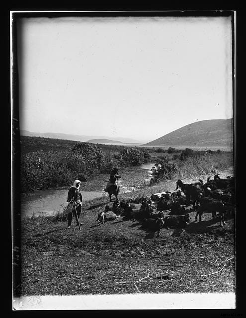 20 Grand Old Goat Photos