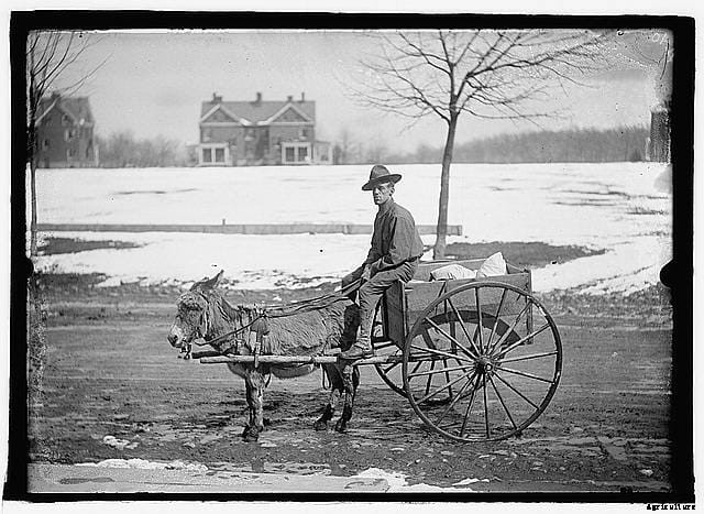 20 Grand Old Goat Photos