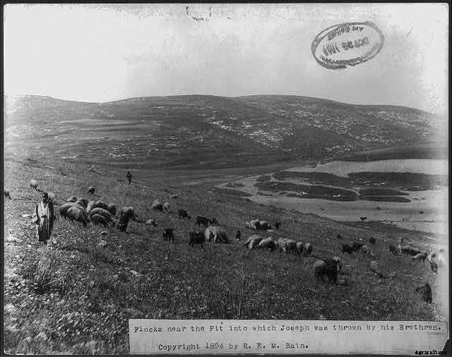 20 Grand Old Goat Photos