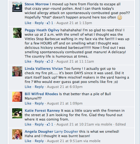 Goat Manure Spontaneous Combustion: It’s A Thing