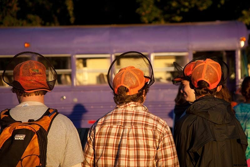 Children of the Corn