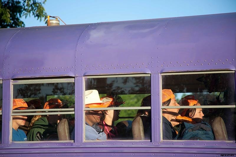 Children of the Corn