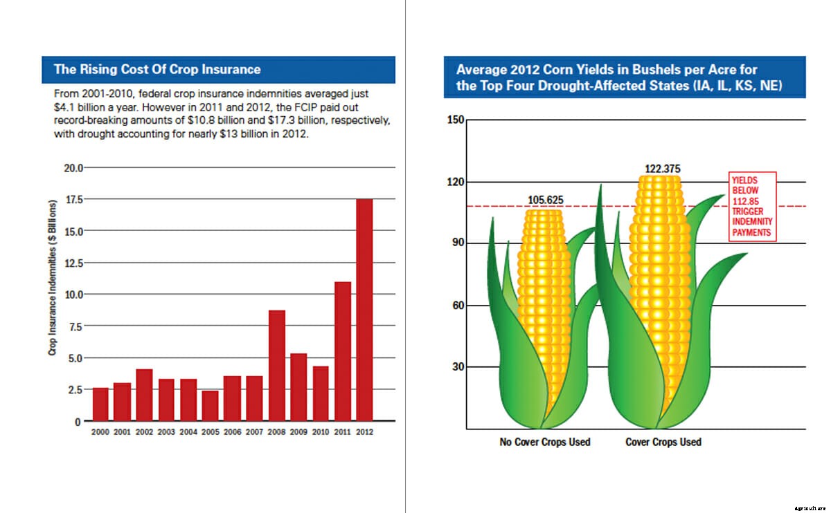 Gambling Debts: New Report Blasts Crop Insurance for Rewarding the Risky