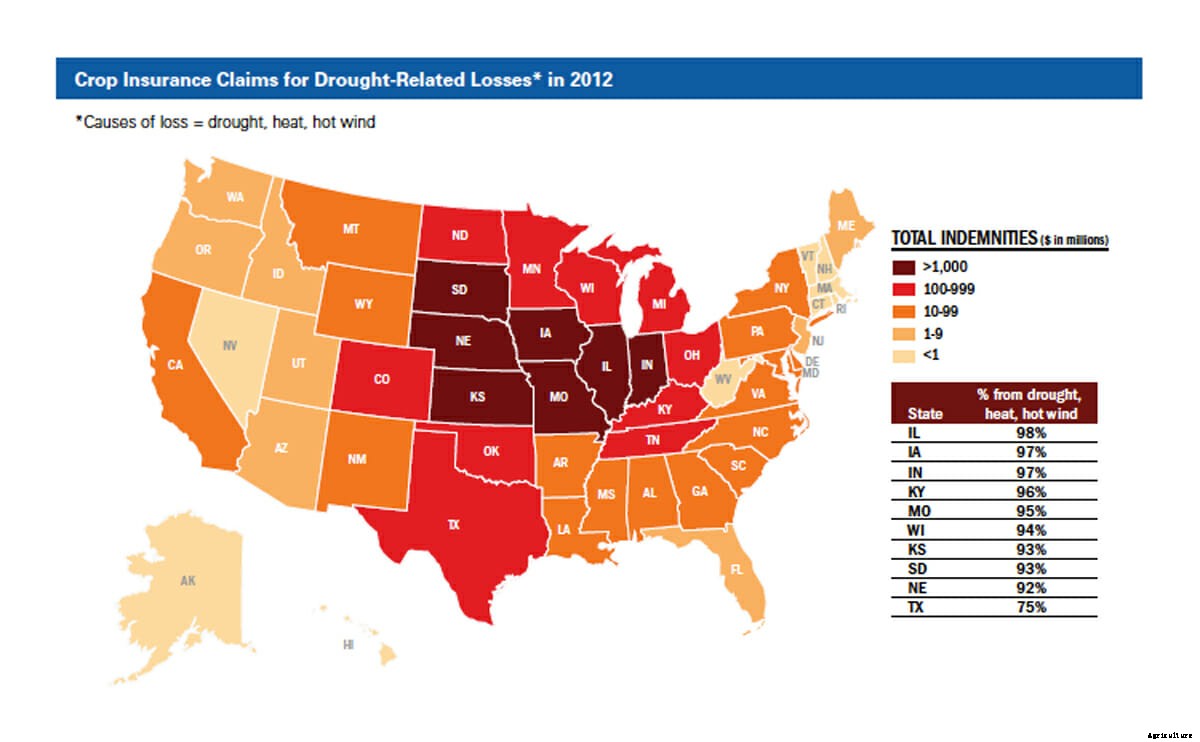 Gambling Debts: New Report Blasts Crop Insurance for Rewarding the Risky