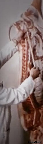 The Rise and Fall of the Great American Hog