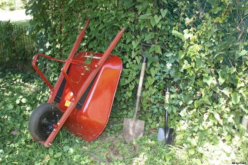 How to Design a Shared Backyard