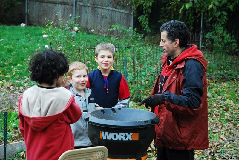 How to Design a Shared Backyard