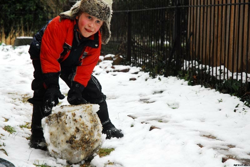How to Design a Shared Backyard