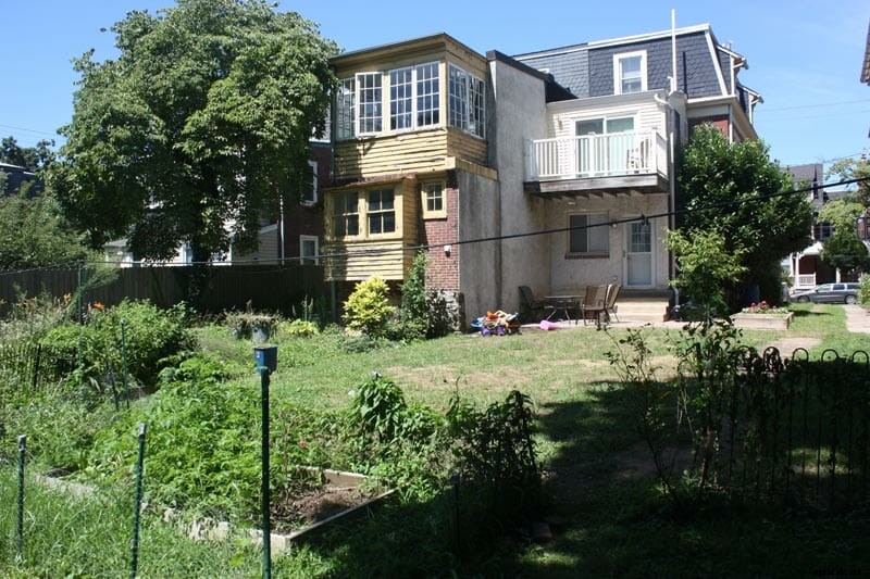 How to Design a Shared Backyard