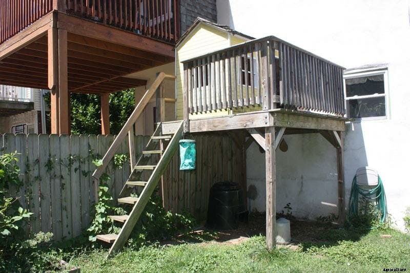 How to Design a Shared Backyard