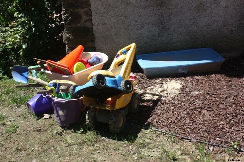 How to Design a Shared Backyard