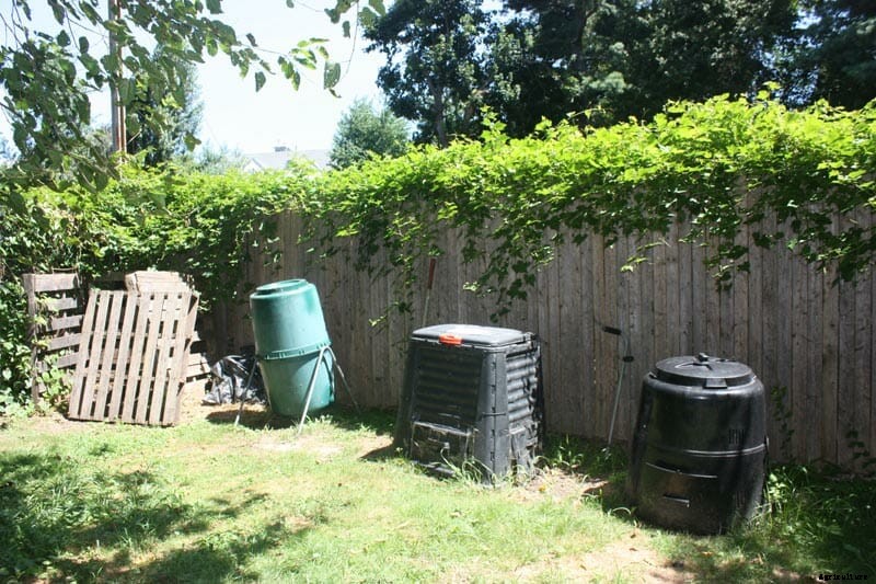 How to Design a Shared Backyard