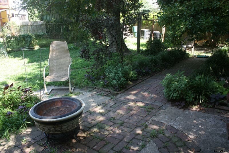 How to Design a Shared Backyard