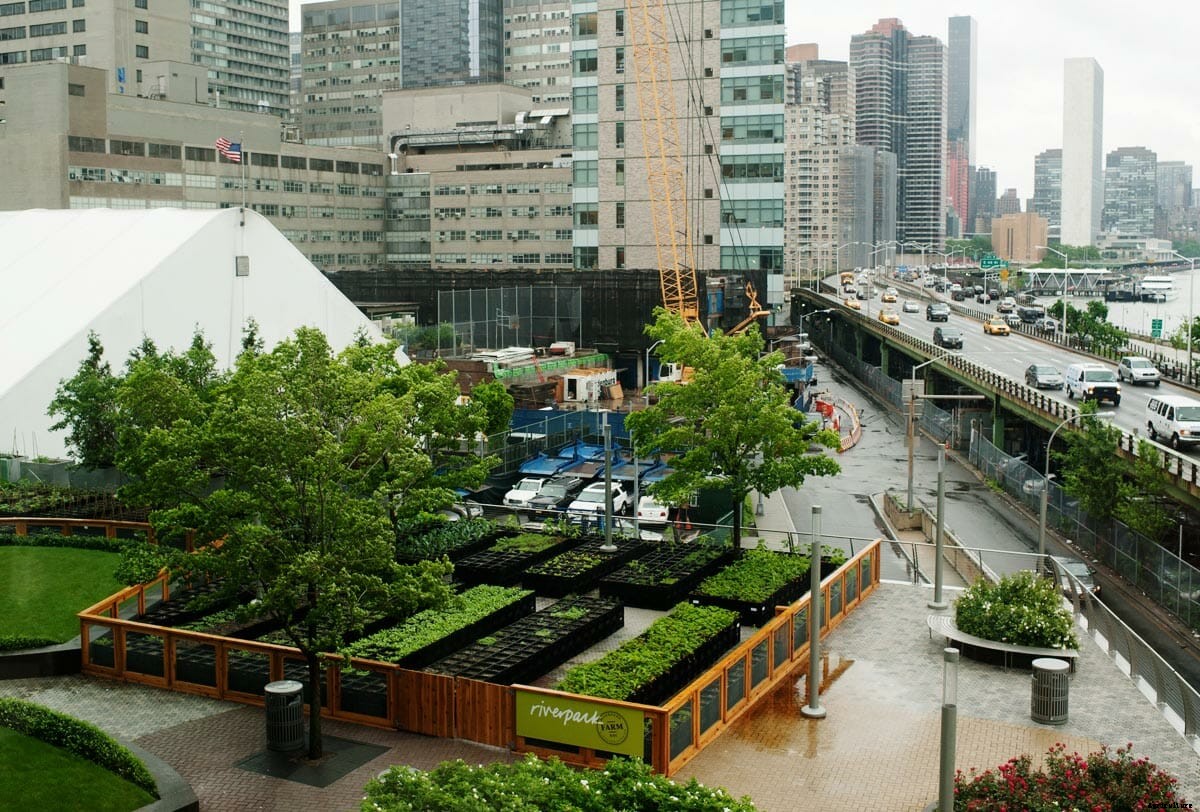 Meet Tom Colicchio’s Urban Milkcrate Farmer