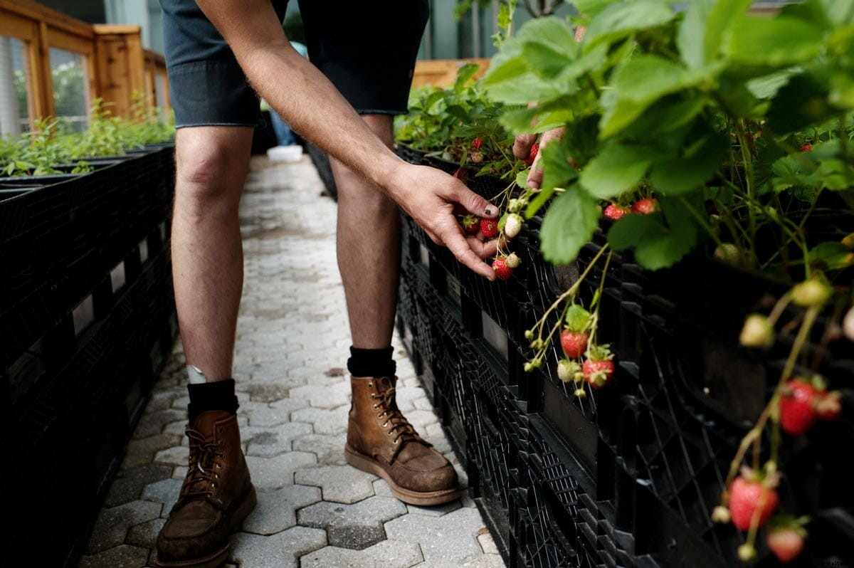 Meet Tom Colicchio’s Urban Milkcrate Farmer