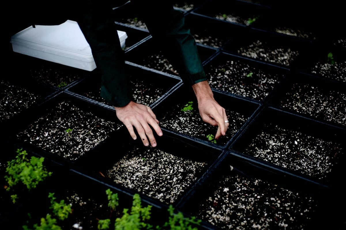 Meet Tom Colicchio’s Urban Milkcrate Farmer