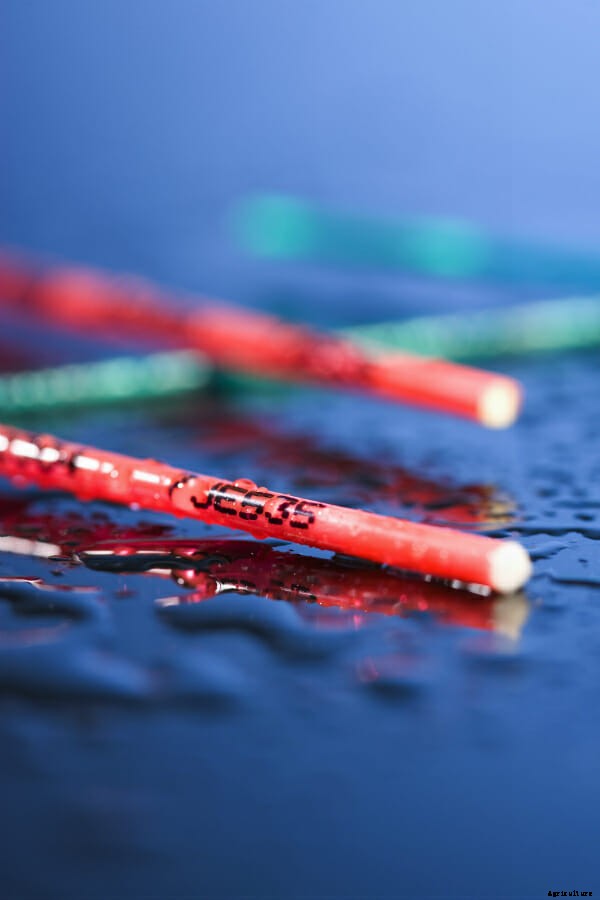 The Apocalypse Sperm Bank