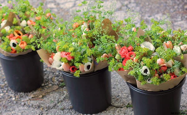 Cashing In: Specialty Crops Bolster Urban Farms