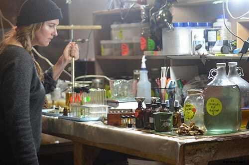 Foraging for Scents at Juniper Ridge