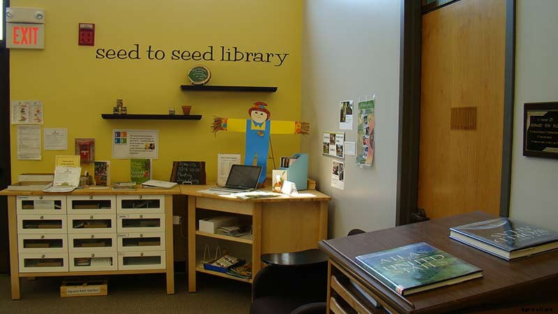 5 Public Libraries That Have Gone to Seed (Libraries)